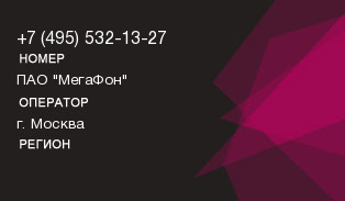 4955321327